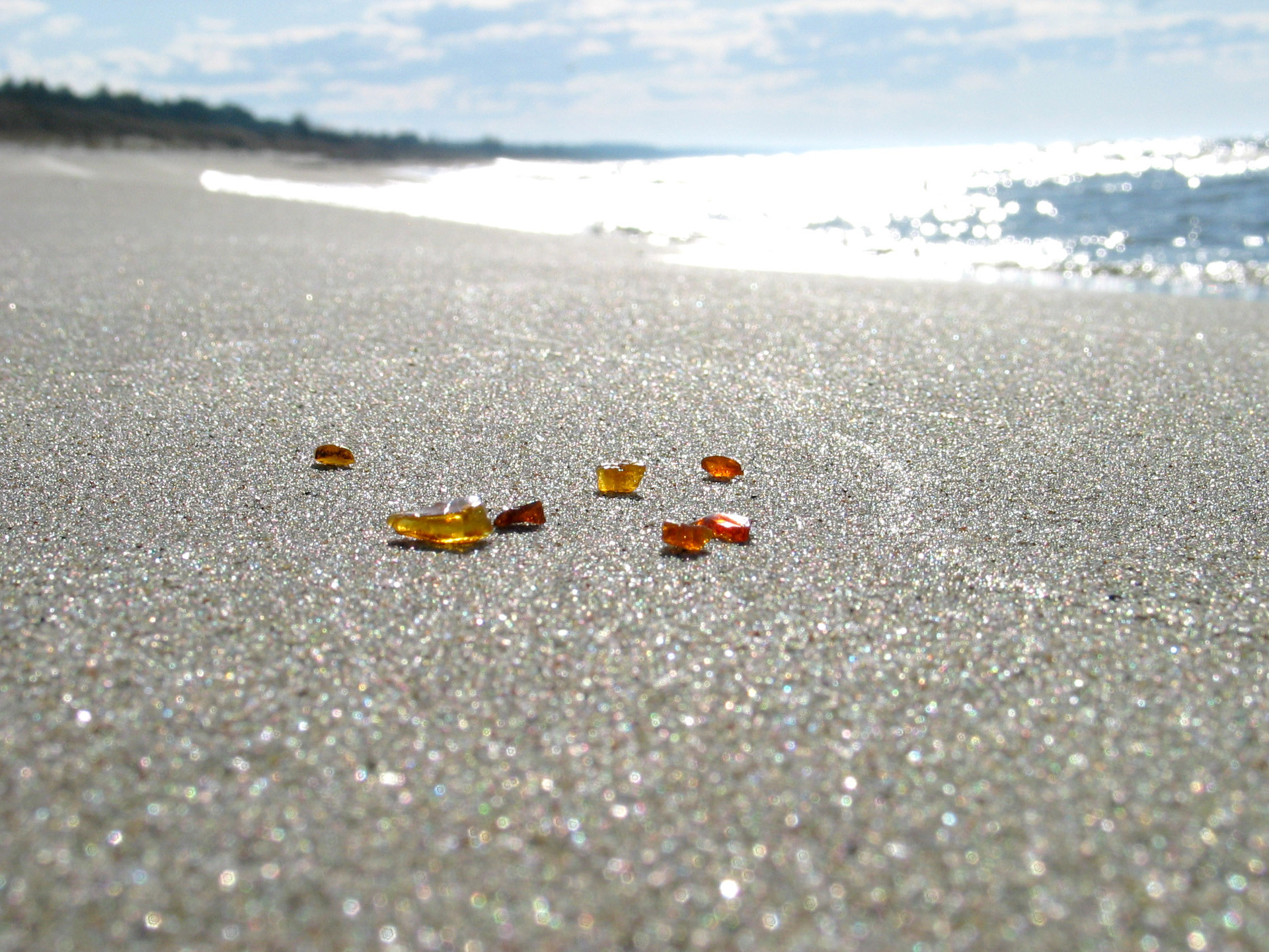 Where the shores are strewn with Polish amber