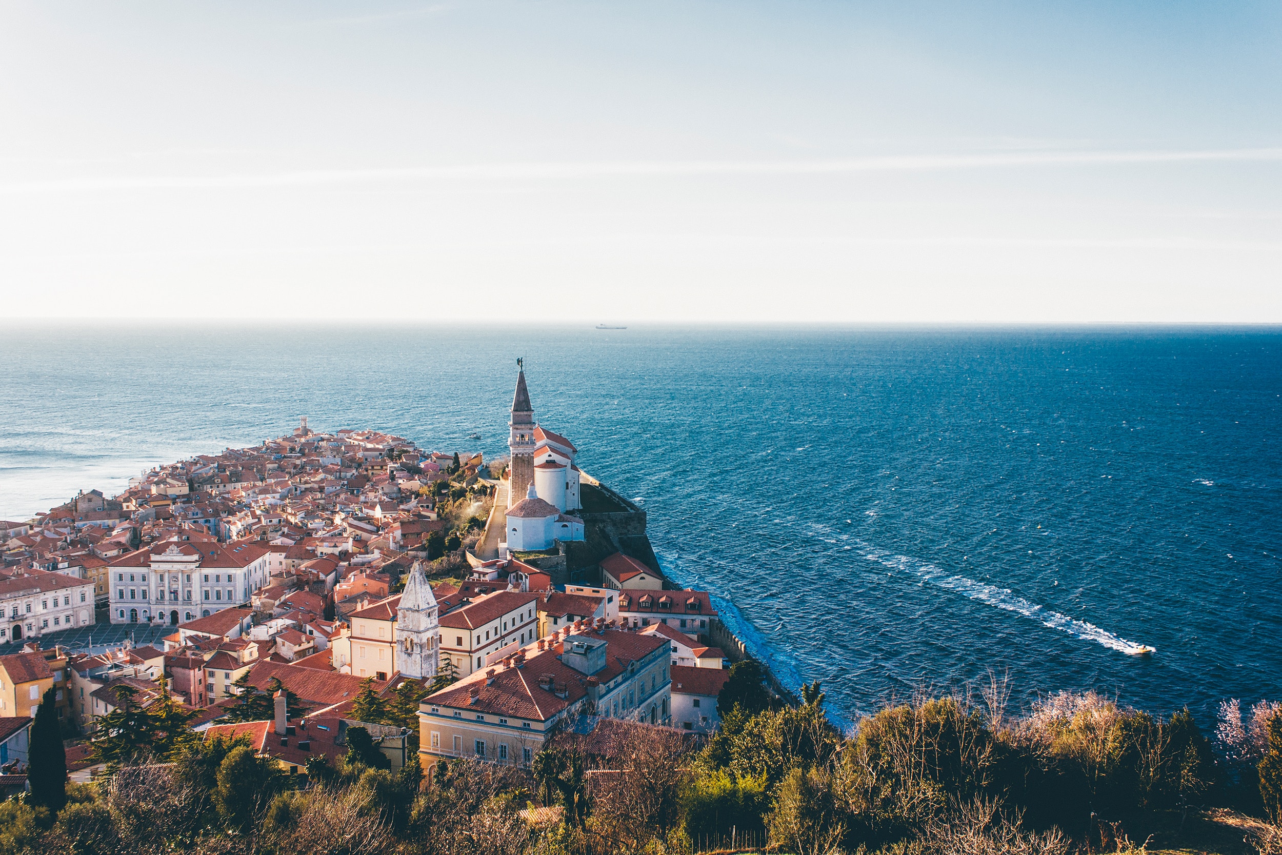 The revival of the Slovenian economy