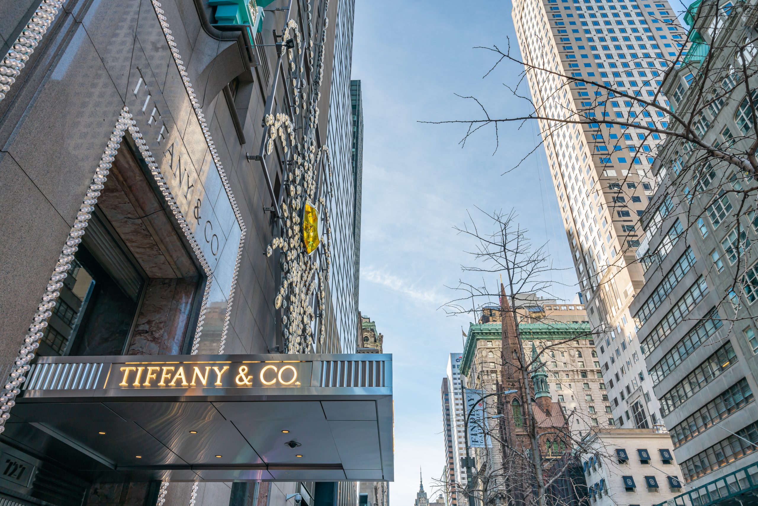 The impact of the acquisition of Tiffany & Co. on the financial