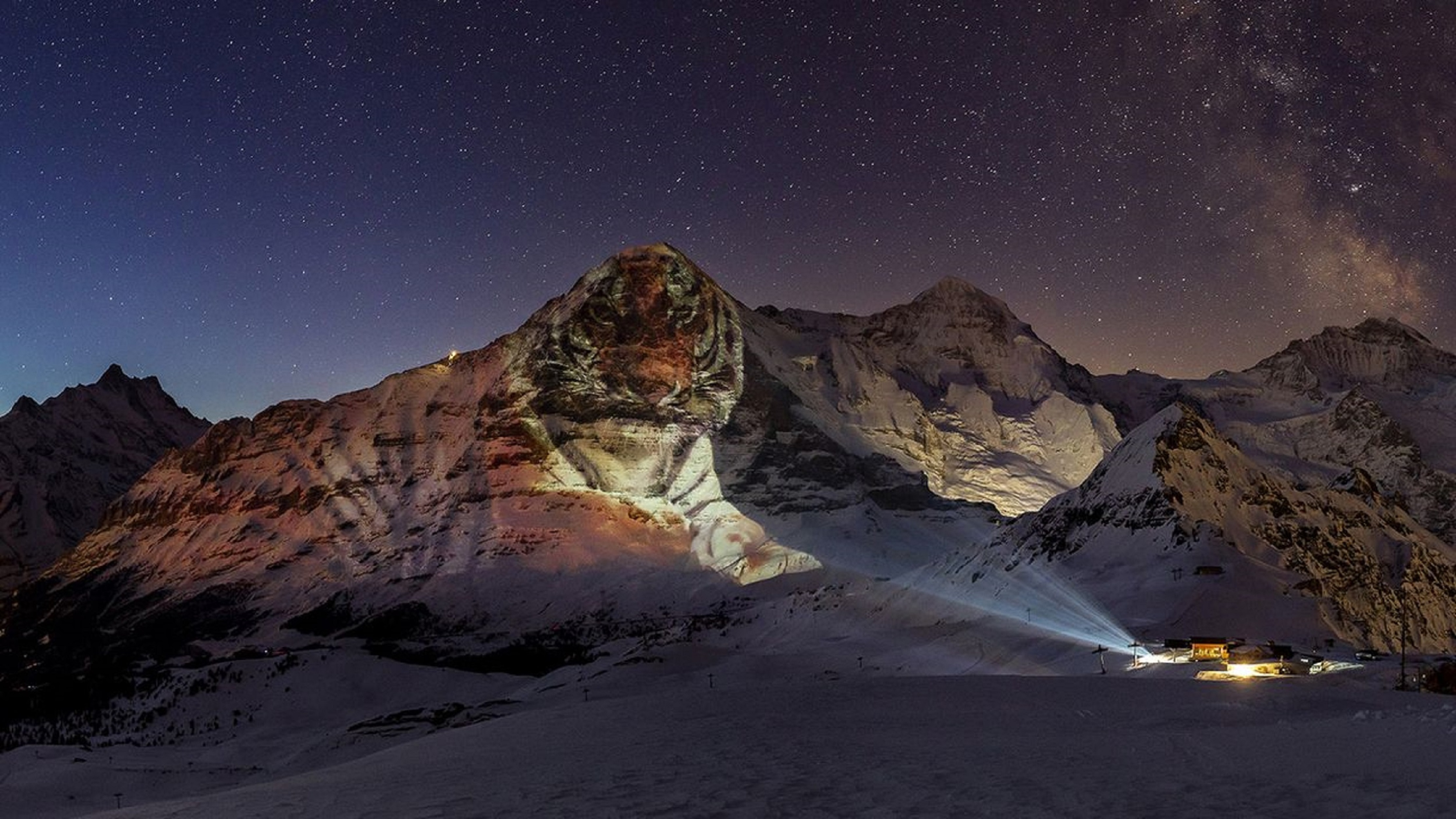 Un tigre projeté sur l’Eiger