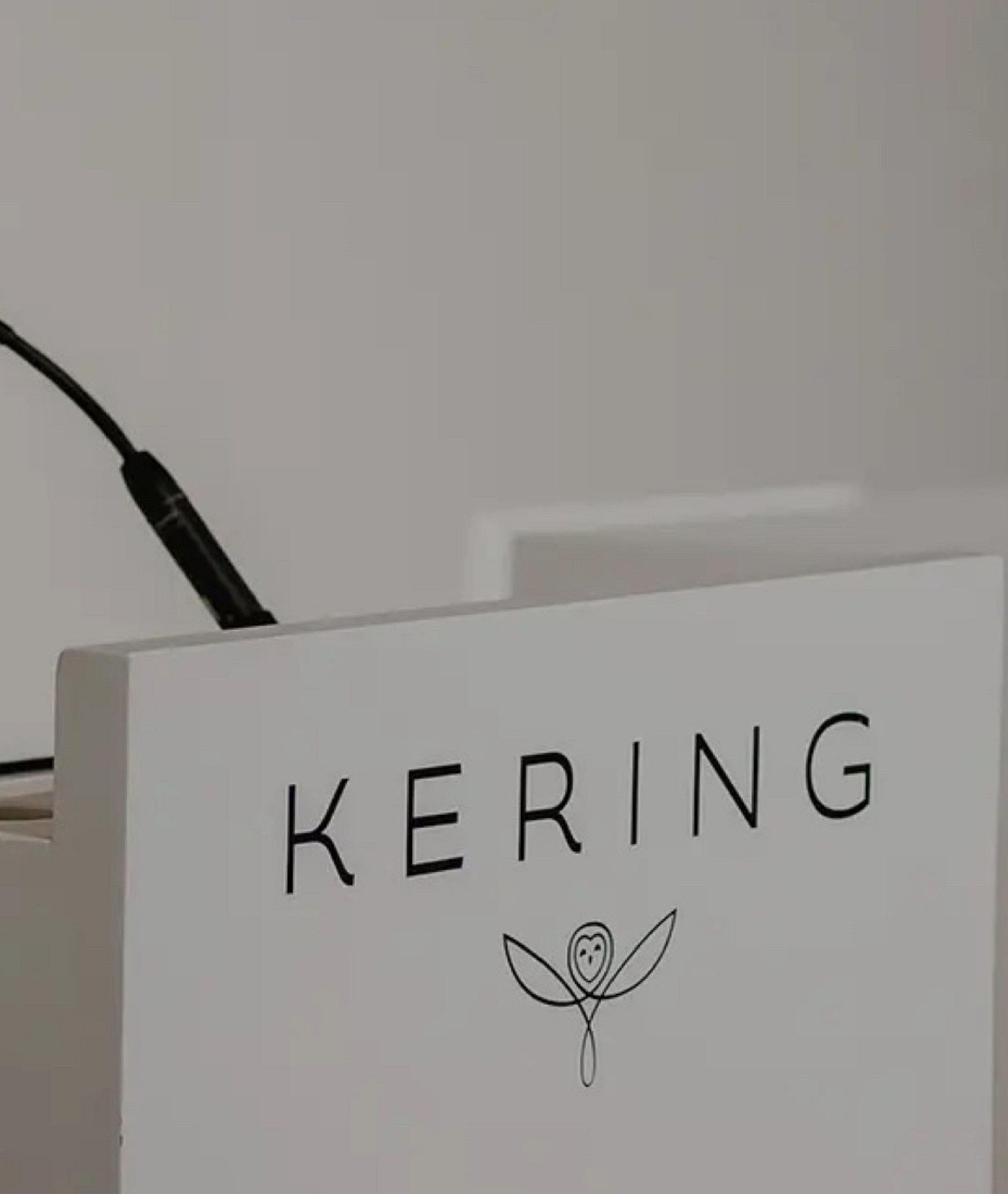 Bluebell Capital invests in Kering, a strong signal facing LVMH? - Luxury  Tribune