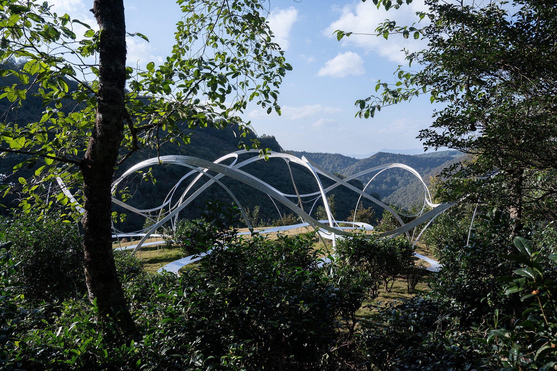 The Flowered Theater