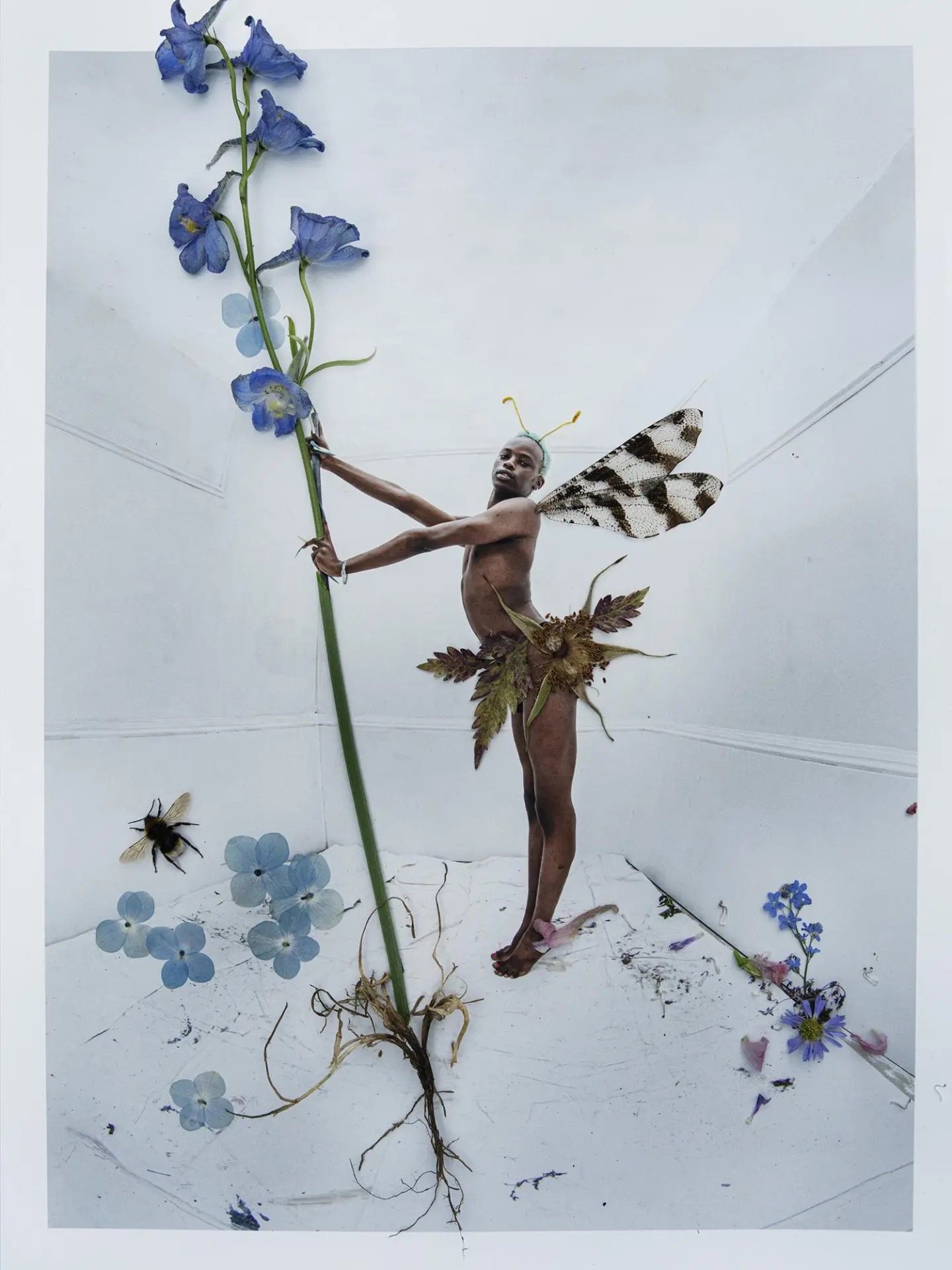 Tim Walker expose son univers à la National Portrait Gallery